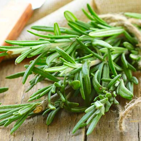Agricola Filippone Organic Sicilian Rosemary - Image 2